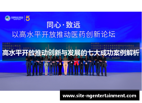 高水平开放推动创新与发展的七大成功案例解析
