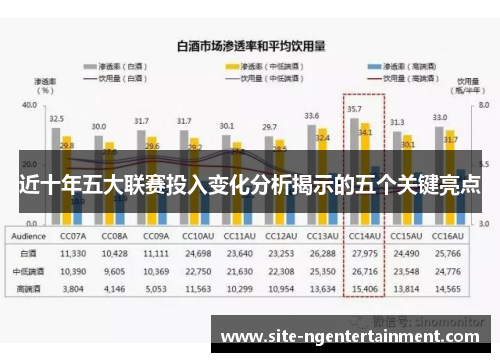 近十年五大联赛投入变化分析揭示的五个关键亮点 近十年五大联赛投入变化分析揭示的五个关键亮点
